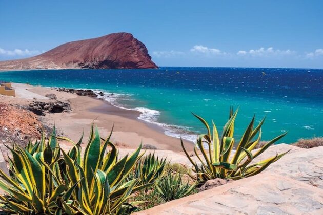 Canarie… cosa devi sapere!